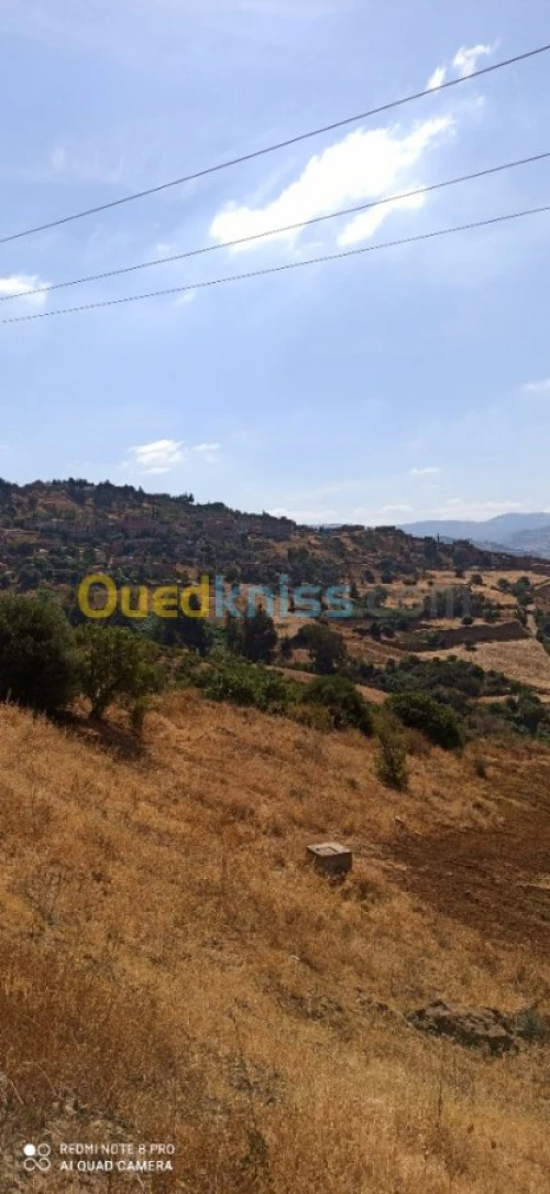 Vente Terrain Medea Medea