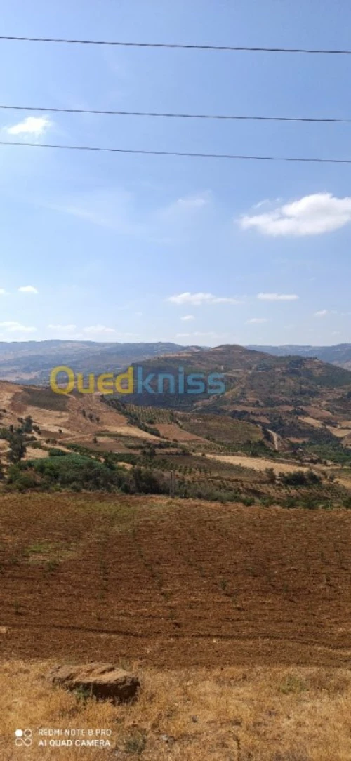 Vente Terrain Medea Medea