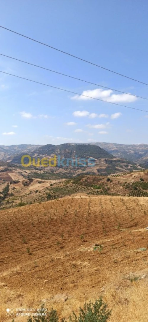 Vente Terrain Medea Medea