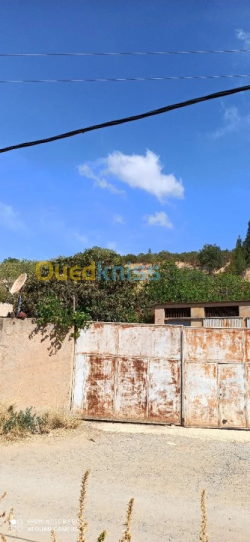 Vente Terrain Medea Medea