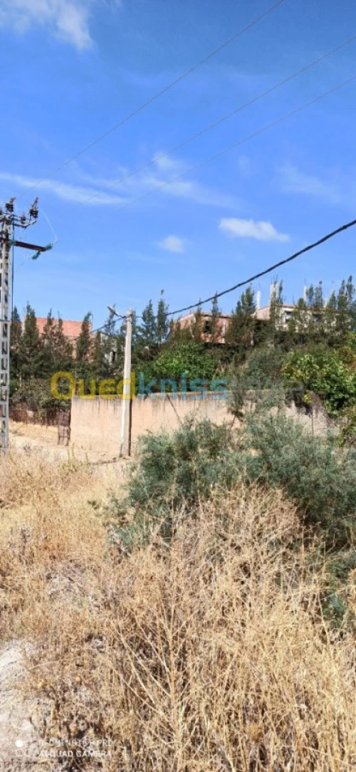 Vente Terrain Medea Medea