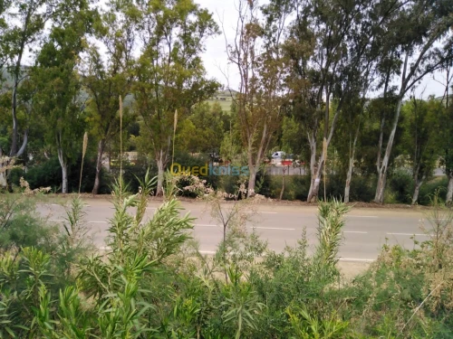 Vente Terrain Blida El affroun