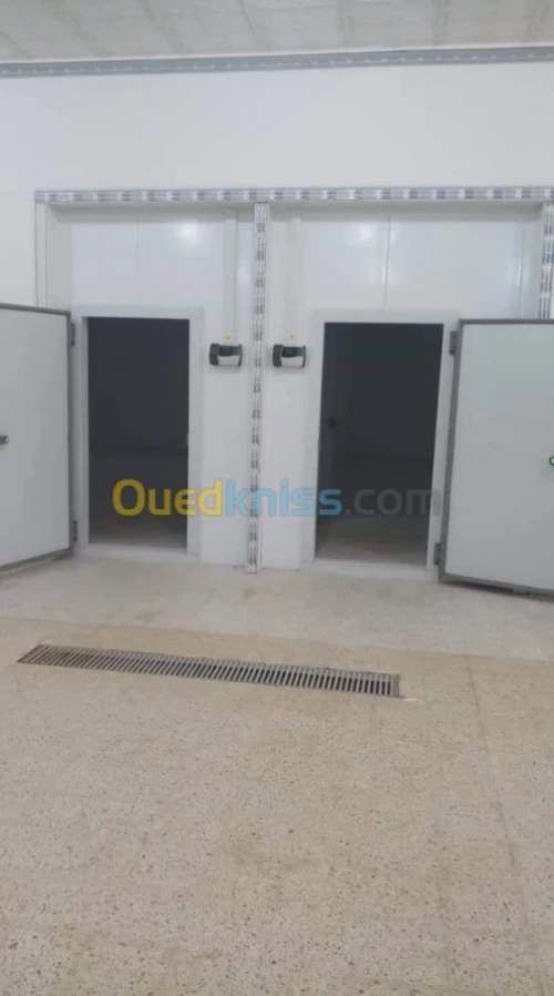 Location Entrepot frigorifique positif