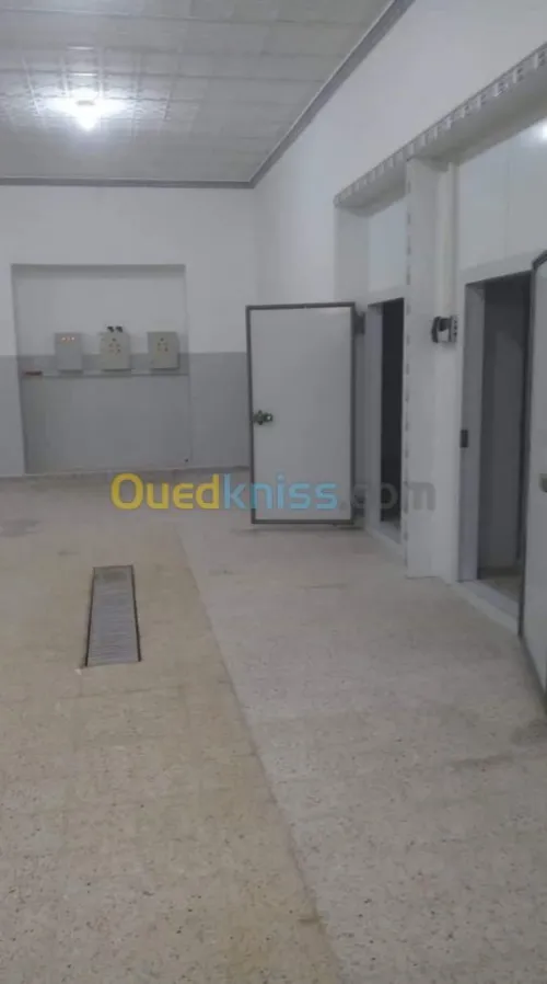 Location Entrepot frigorifique positif