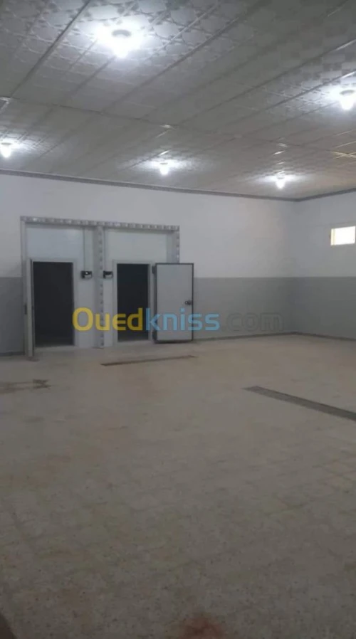 Location Entrepot frigorifique positif