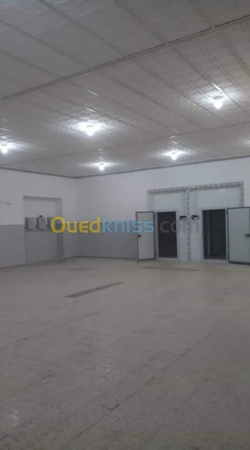 Location Entrepot frigorifique positif