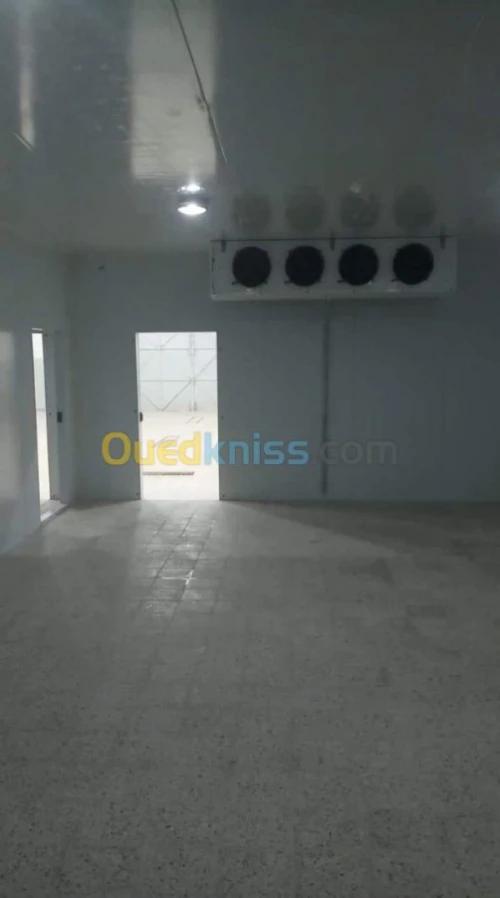 Location Entrepot frigorifique positif