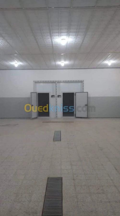 Location Entrepot frigorifique positif