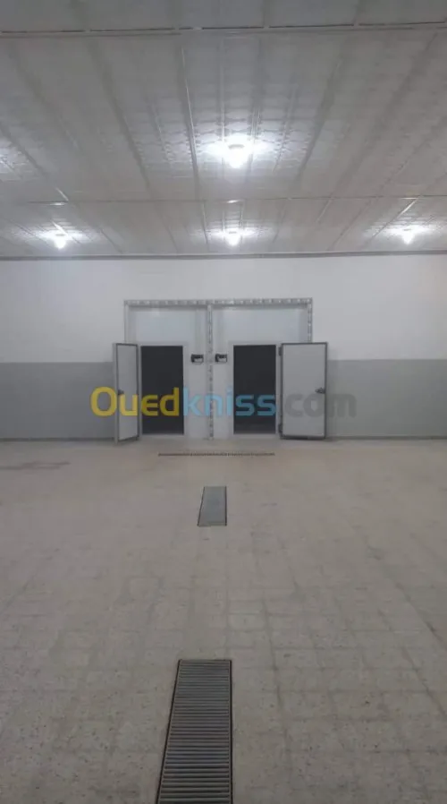 Location Entrepôt frigorifique positif