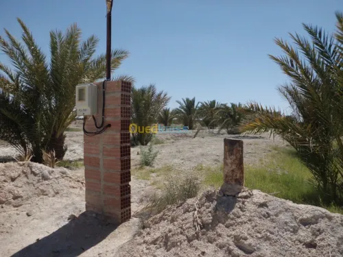 Vente Terrain Agricole Biskra Ourlala