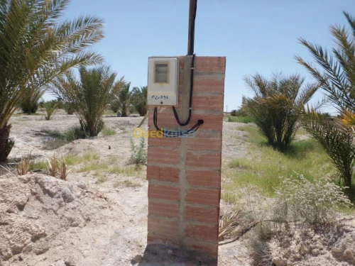 Vente Terrain Agricole Biskra Ourlala