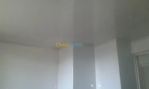 faux plafon PVC