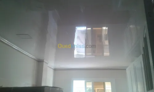 faux plafon PVC