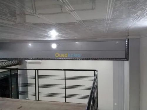 faux plafon PVC