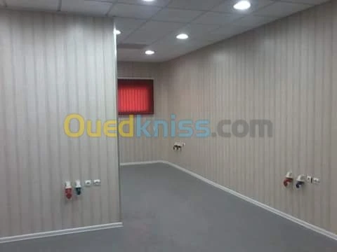 faux plafon PVC