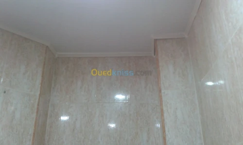 faux plafon PVC