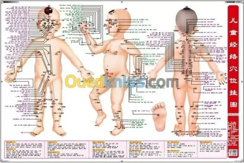Acupuncture Hernie Discale & Cervical 