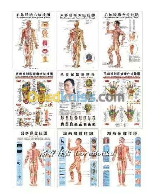 Acupuncture Hernie Discale & Cervical 