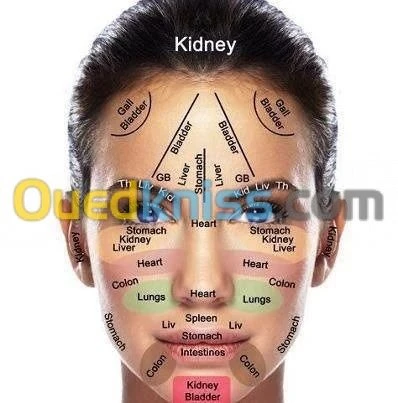 Spécialisé Acupuncture Hijama Médical7