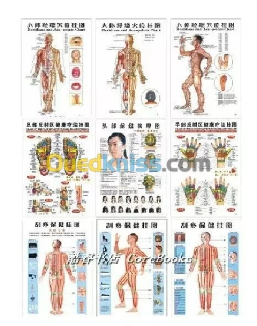 Spécialisé Acupuncture Hijama Médical7