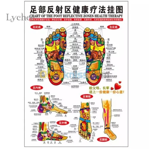 Spécialisé Acupuncture Hijama Médical7