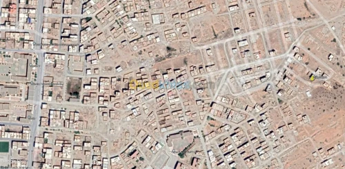 Vente Terrain Tlemcen Maghnia