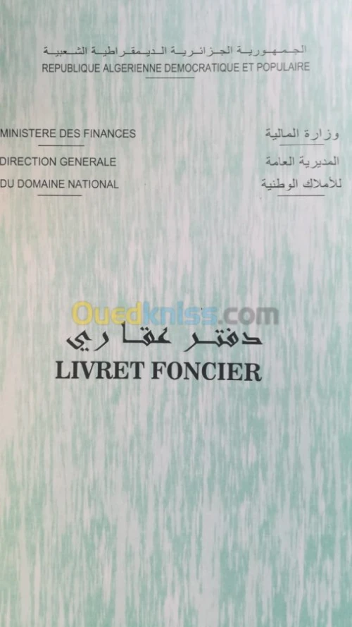 Vente Terrain Tlemcen Maghnia