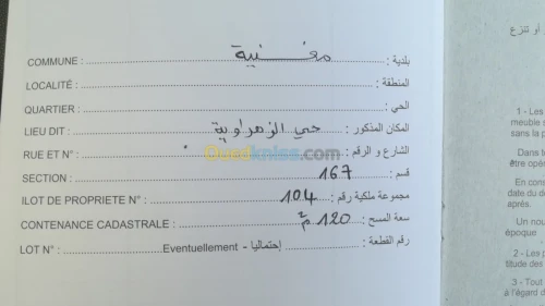 Vente Terrain Tlemcen Maghnia