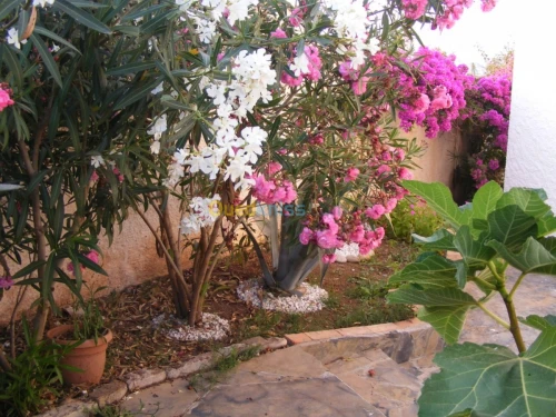 Vente Villa Bejaia Bejaia