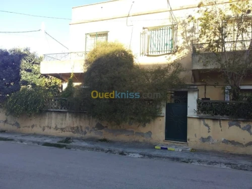 Vente Villa Blida Blida