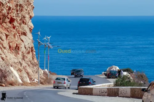 Location Appartement F2 Tipaza Ain tagourait