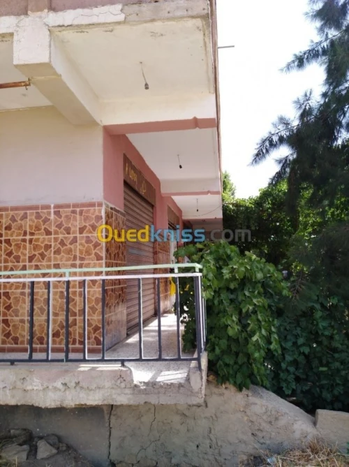 Vente Immeuble Tiaret Tiaret