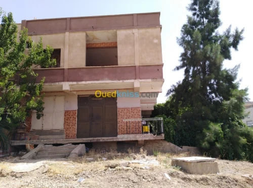 Vente Immeuble Tiaret Tiaret