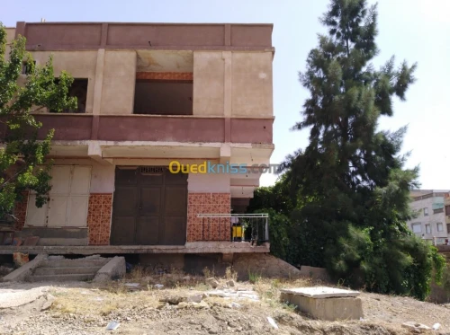Vente Immeuble Tiaret Tiaret
