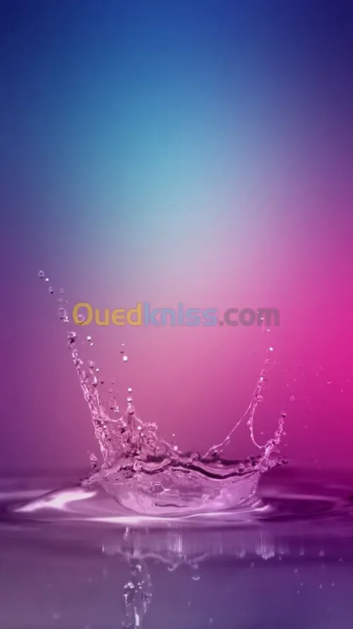 التوجيه و الاستعلام
