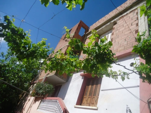 Vente Villa Tipaza Chaiba