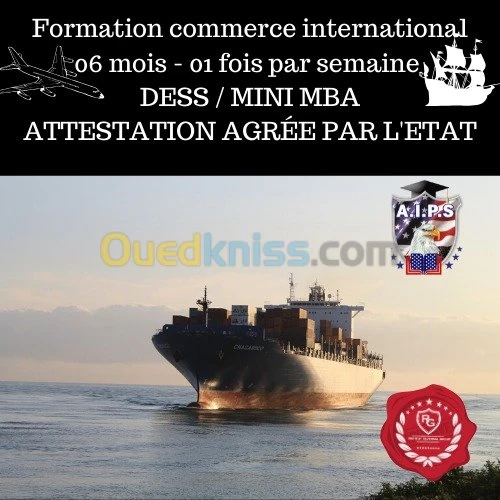 FORMATION COACHING+STAGE PRATIQUE