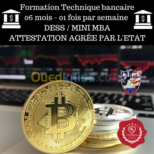 FORMATION COACHING+STAGE PRATIQUE