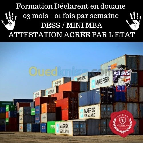 FORMATION COACHING+STAGE PRATIQUE