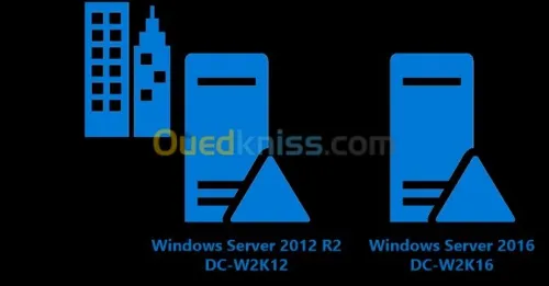 réseau câblage et installation server