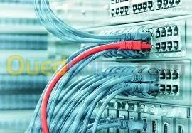 réseau câblage et installation server