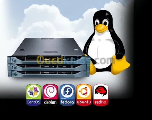 réseau câblage et installation server