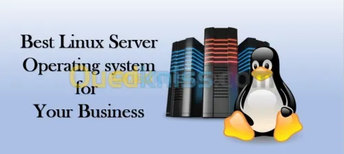 réseau câblage et installation server