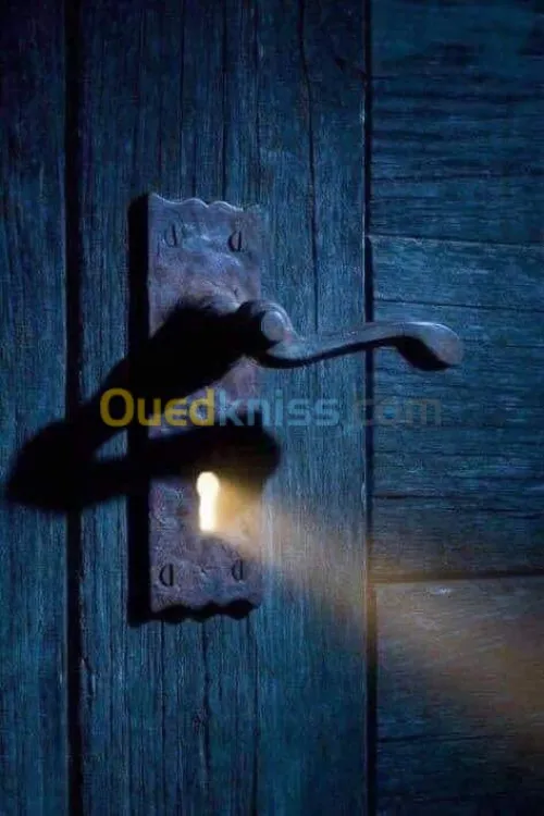 Rideaux électrique 