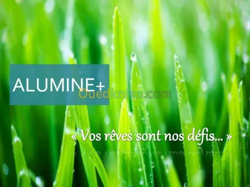 ALumine+ Pergola Véranda pour terrasse
