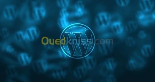 CONCEPTION & CREATION DE SITE WEB