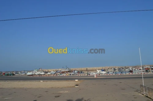 Location vacances Studio Mostaganem Mostaganem