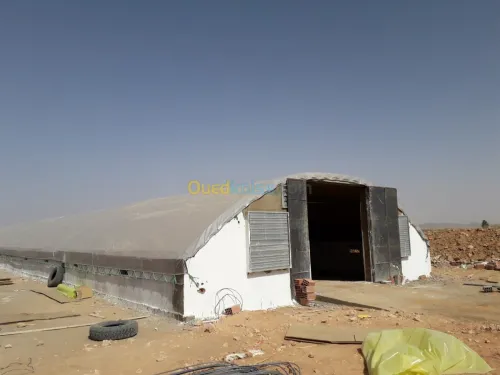 بيع وتركيب بيوت لتربية الدواجن