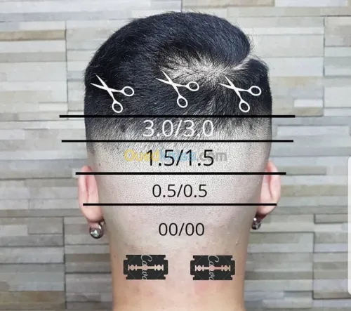 Coiffure homme & hébergement 