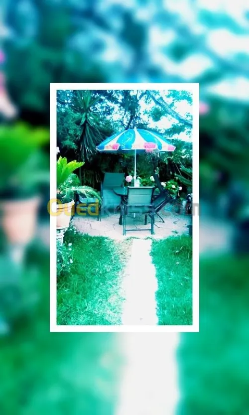 Jardin